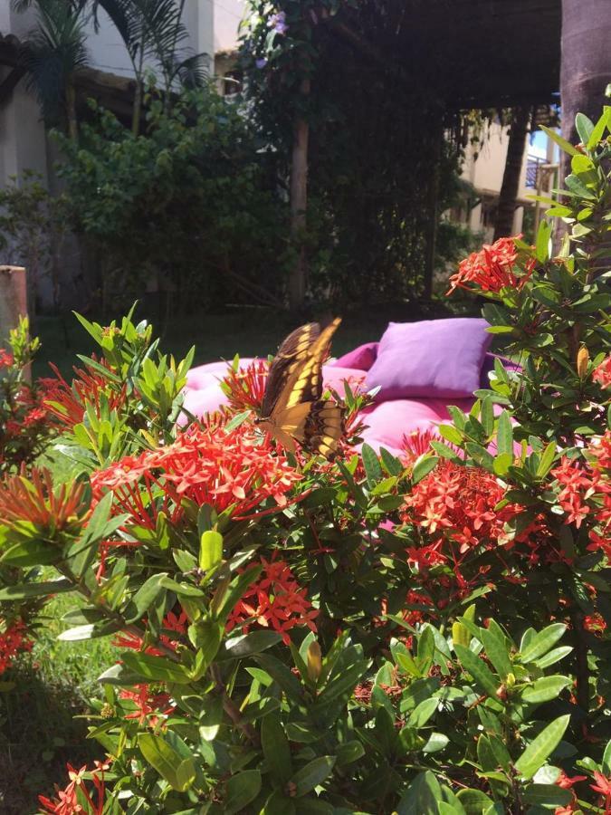 Villa Chale Carpe Diem - Pipa Beleza